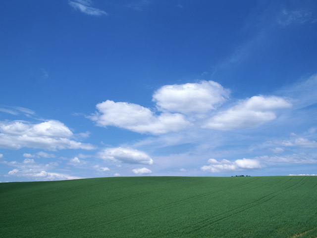 代表